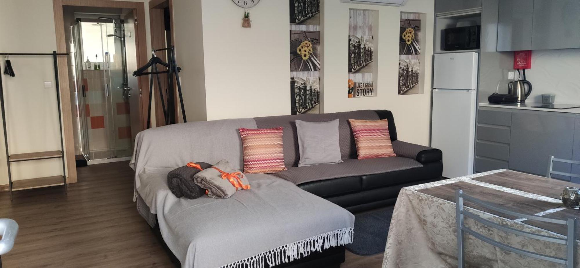 Al Santiago T1 Apartment Viana do Castelo